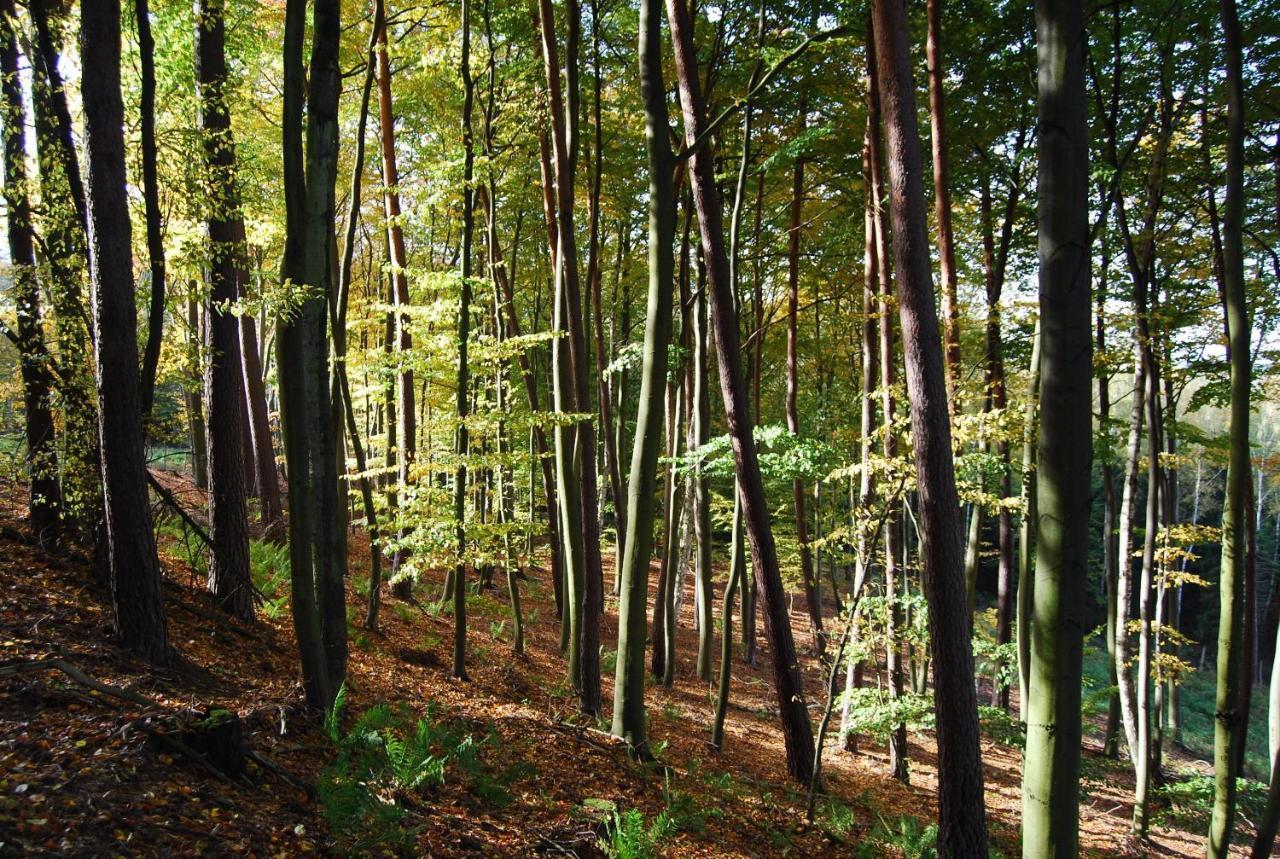 Ośrodek Wypoczynkowy Laguna Lubniewice Zewnętrze zdjęcie