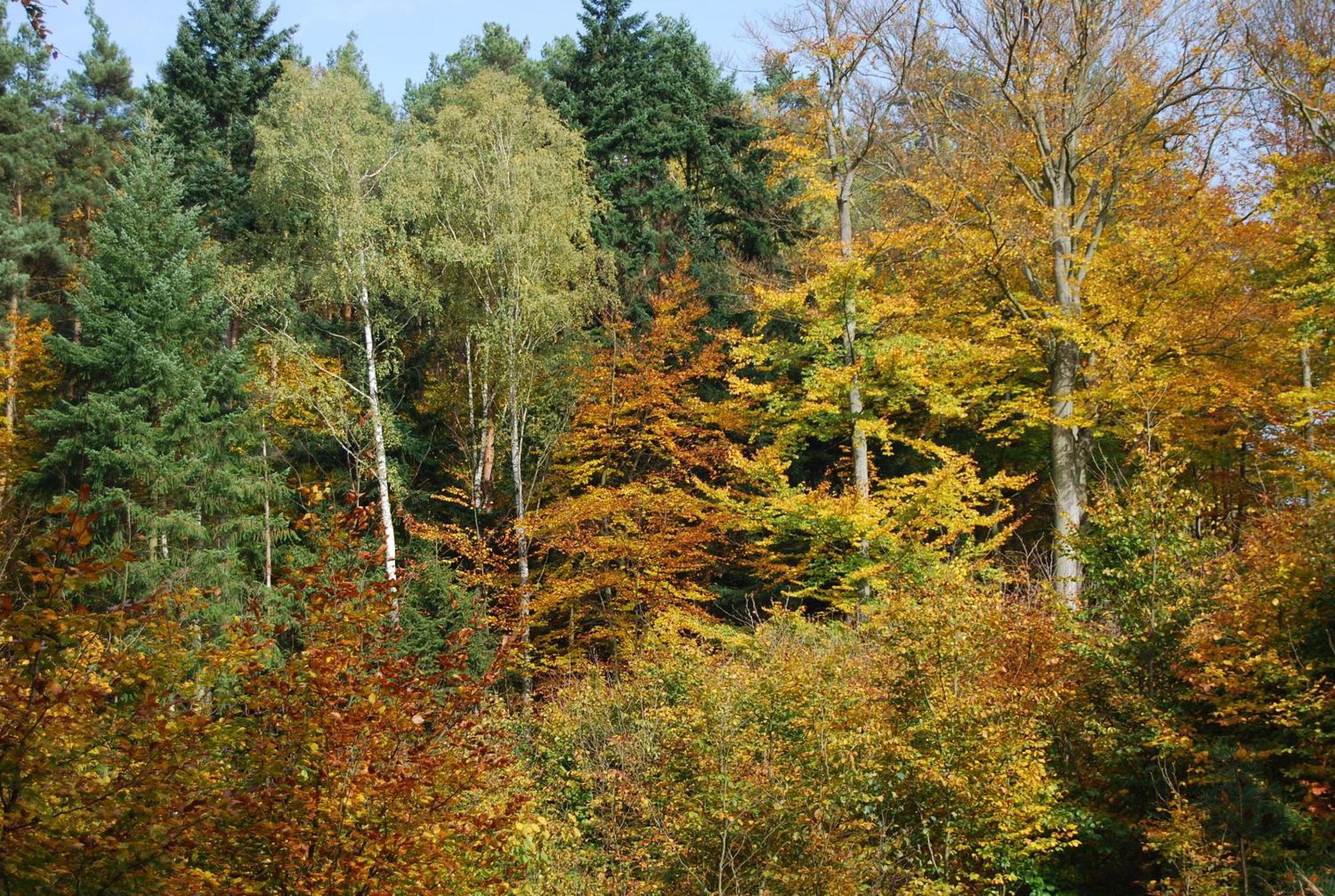 Ośrodek Wypoczynkowy Laguna Lubniewice Zewnętrze zdjęcie
